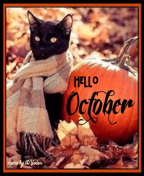 hello october memes|More.